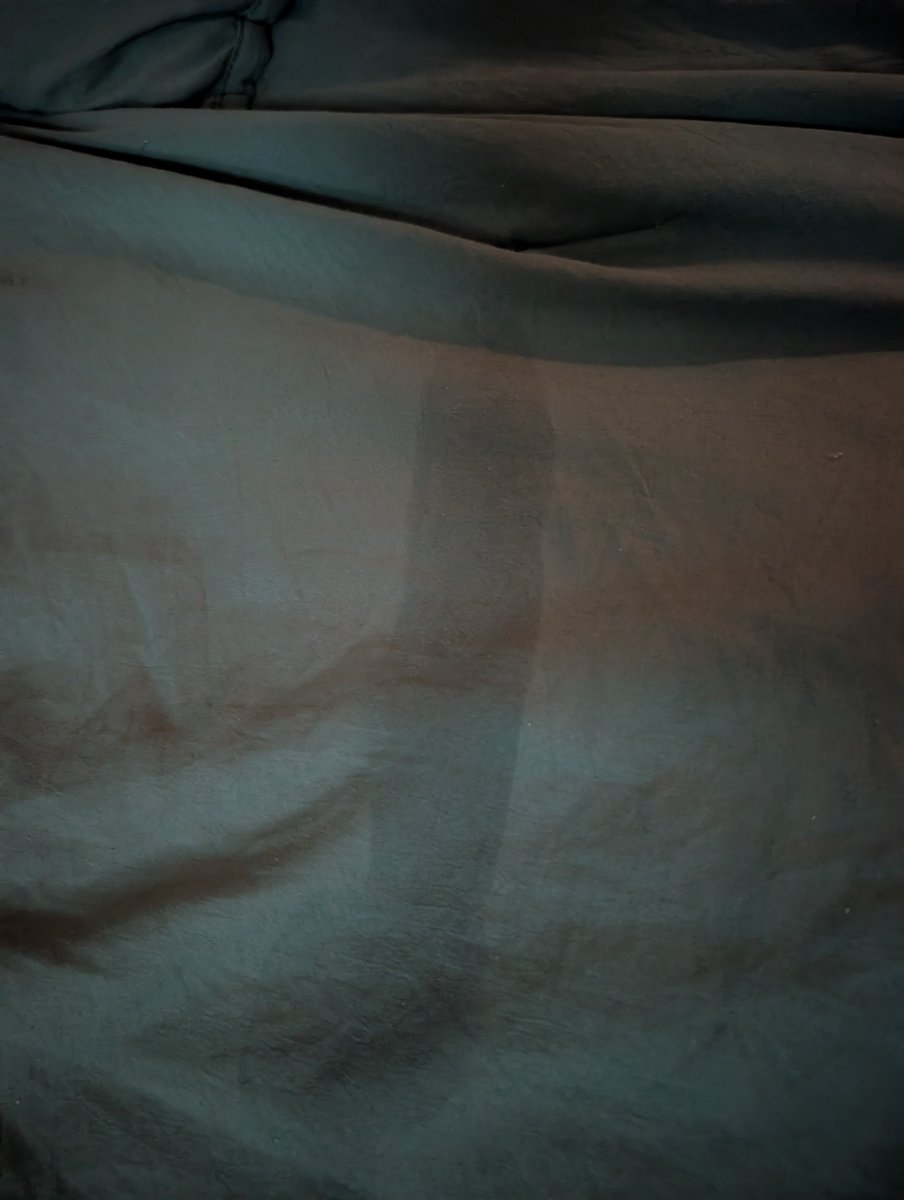 lenz11704's tweet photo. I just washed my sheets... 💦🫣 https://t.co/DVUwf174E1