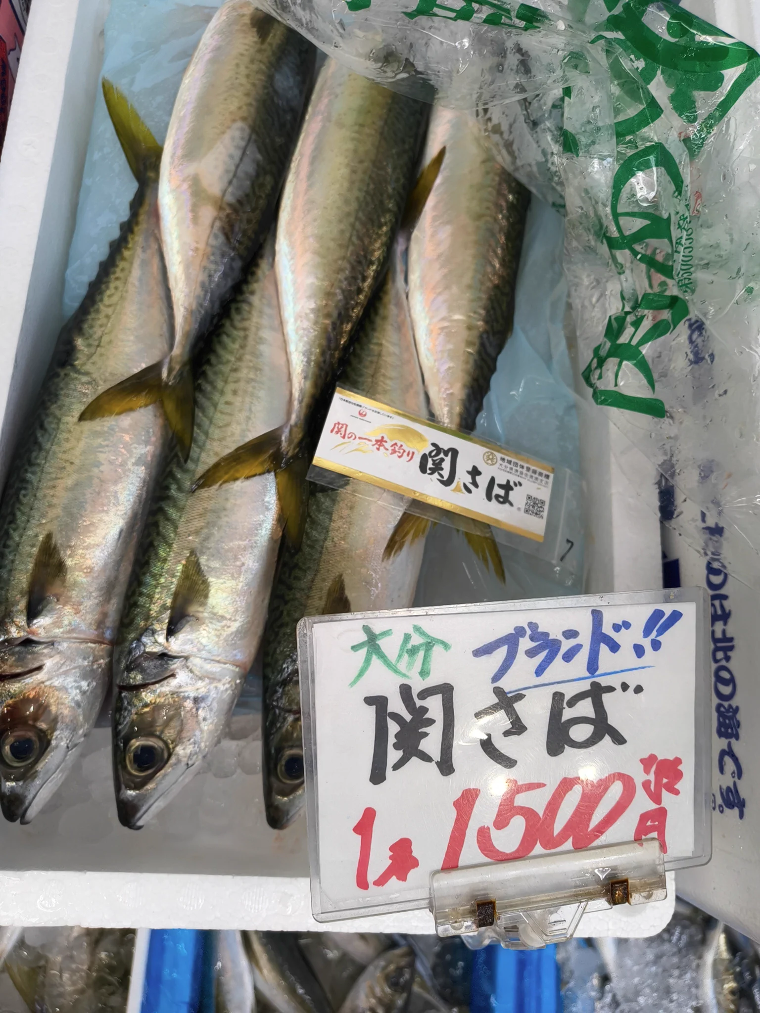 おさかな 本店】武蔵境おさかな家さん南口店 a X / X
