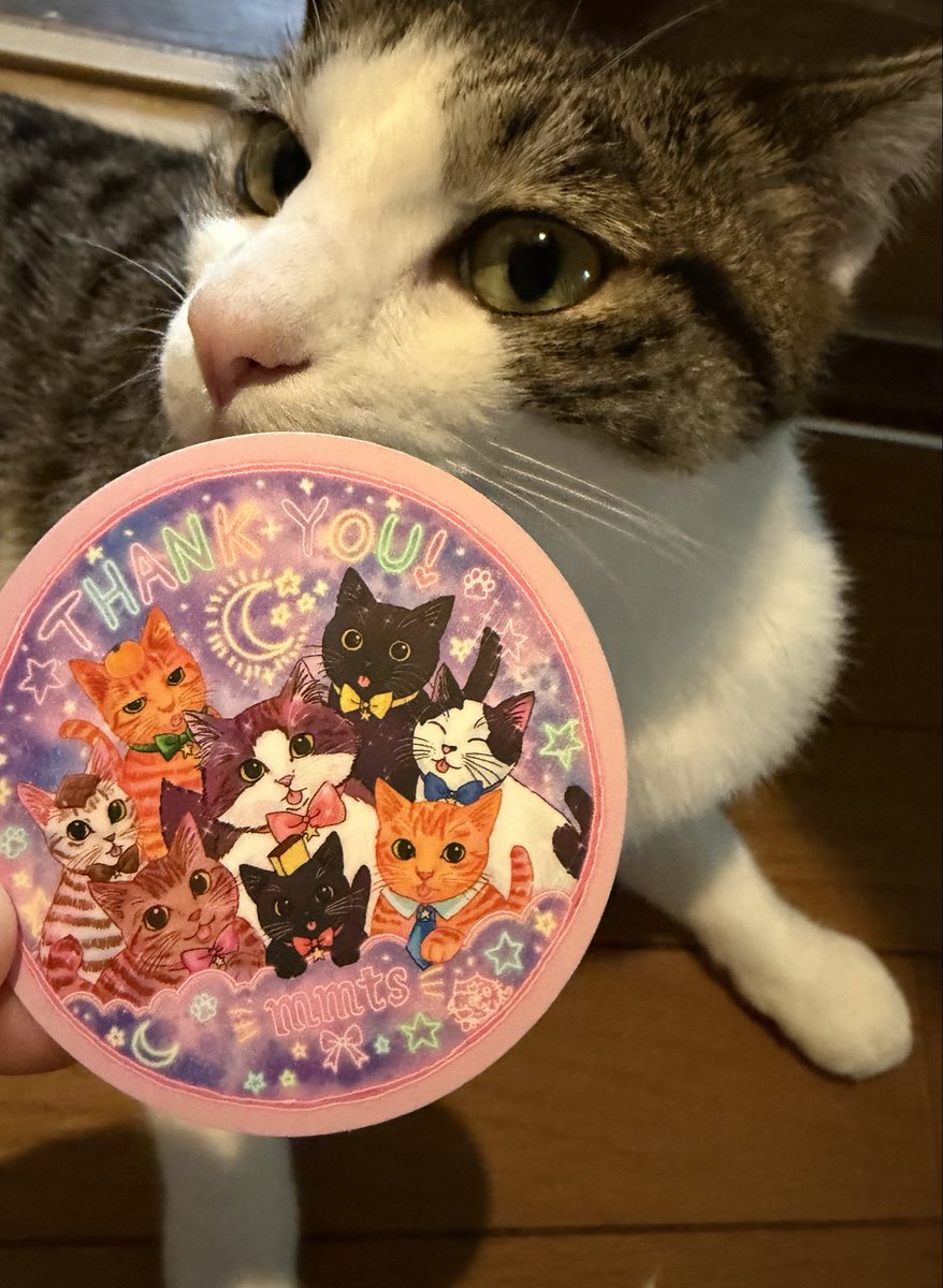 lG38yOKDxM5nrkB's tweet photo. 通勤バッグを新調😼👜
mmtsおなじみの猫星座柄がかわいい🐈‍⬛🌟ポケットたくさん付いてて使いやすそう~！ノベルティのステッカーもげっと！！
#mmts https://t.co/7XV4GYoGc7