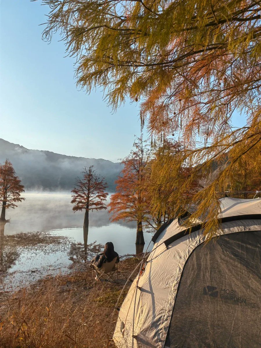 EdgarStudtmmpb's tweet photo. Amanecer sobre la laguna, café recién hecho y el silencio del bosque. Perfecta escapada de camping. ， https://t.co/eIFG3V18Bt