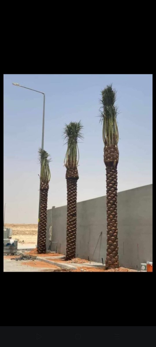 Aali20_30's tweet photo. #راقت_لي https://t.co/bNoSQk4IV7