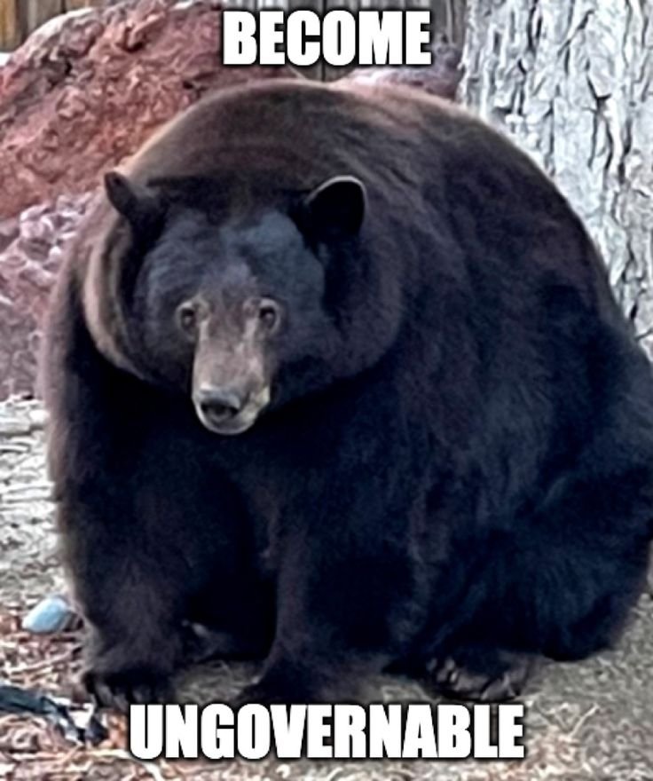 Bear1nCrisis's tweet photo. https://t.co/z32E7ol3Ox