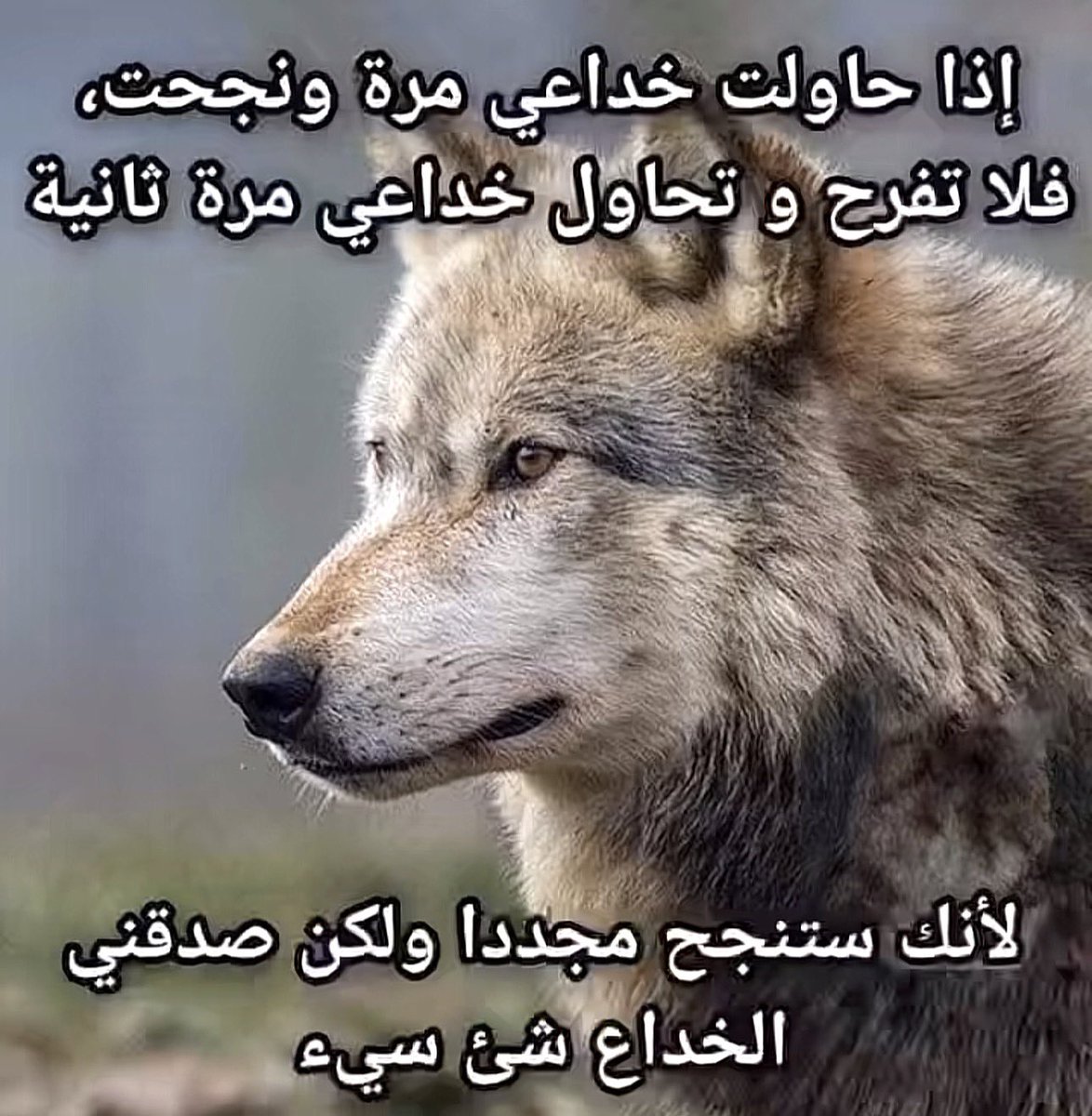 9IRNN's tweet photo. شفت اشتراك نتفليكس بخمسه وقررت اشترك عشان اكمل مسلسلي واللي صار انهم نصبوا عليا المشكلة مو هنا المشكلة اني اكتشفت انه نفس الستور اللي نصبوا عليا قبل بس ماانتبهت https://t.co/D9yauP9evL