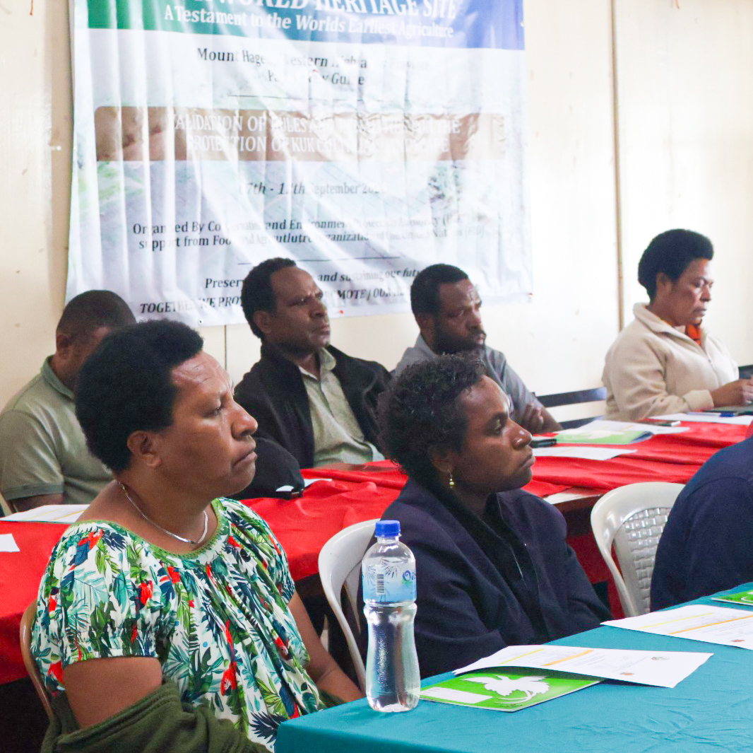 FAOinPNG's tweet photo. 🌍 A key milestone for #PNG’s only #WorldHeritage property.
Supported by FAO-CEPA GEF-7 Project, the Kuk workshop completed key documentation for NEC submission, advancing the proposed #Conservation Area declaration.
🔗 https://t.co/FQuMpOXfkV
#FAOPNG #CEPAPNG https://t.co/P8dKEGjoND