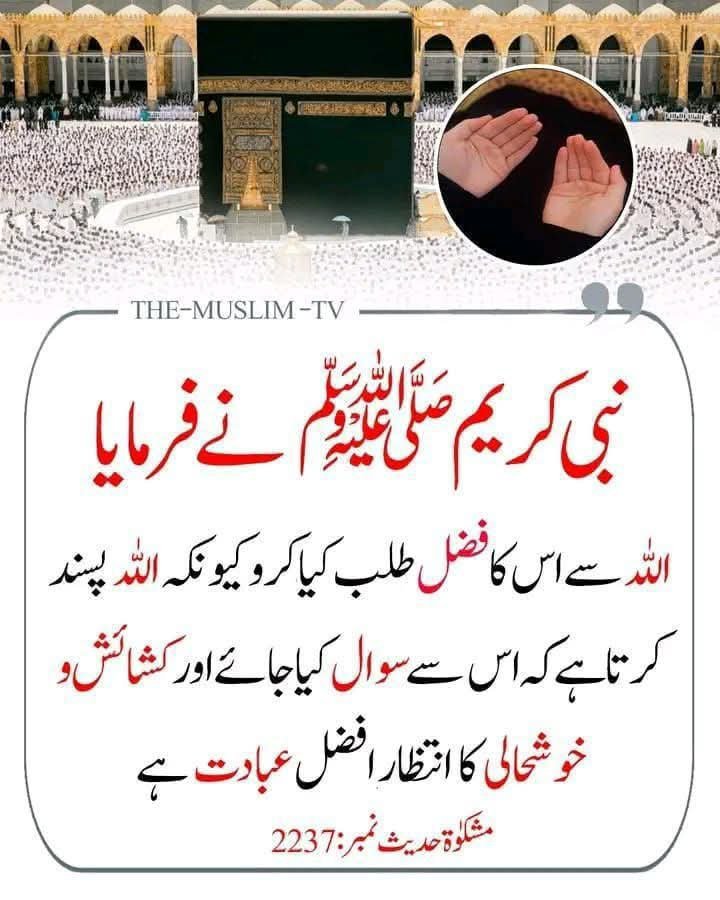 ChotiSheikhni's tweet photo. https://t.co/SdZEQinTef