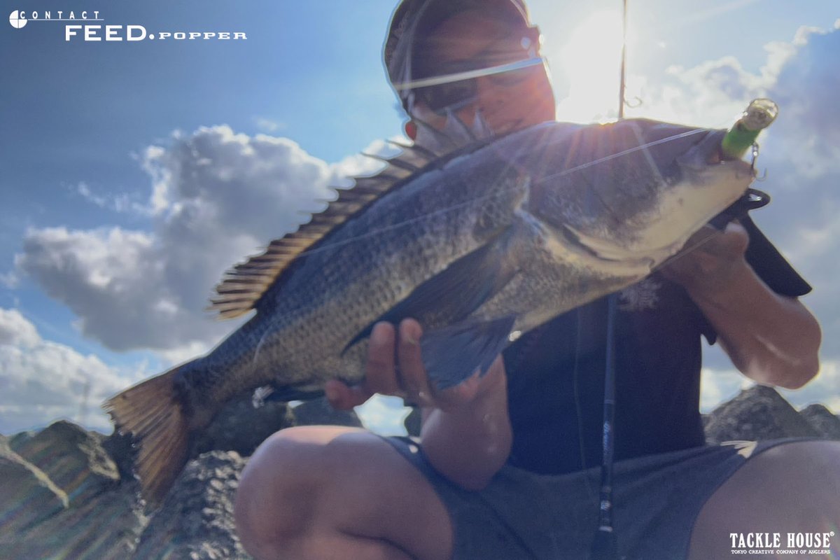 tacklehouse's tweet photo. 大分の高見様(モニター)より釣果写真を頂いておりましたのでご紹介します。
https://t.co/3uTxKvXlzb
#タックルハウス #tacklehouse #madeinjapan #フィードポッパー70 #ラージシケイダー改 #チヌ #宮崎県 https://t.co/EivfbzXcNH