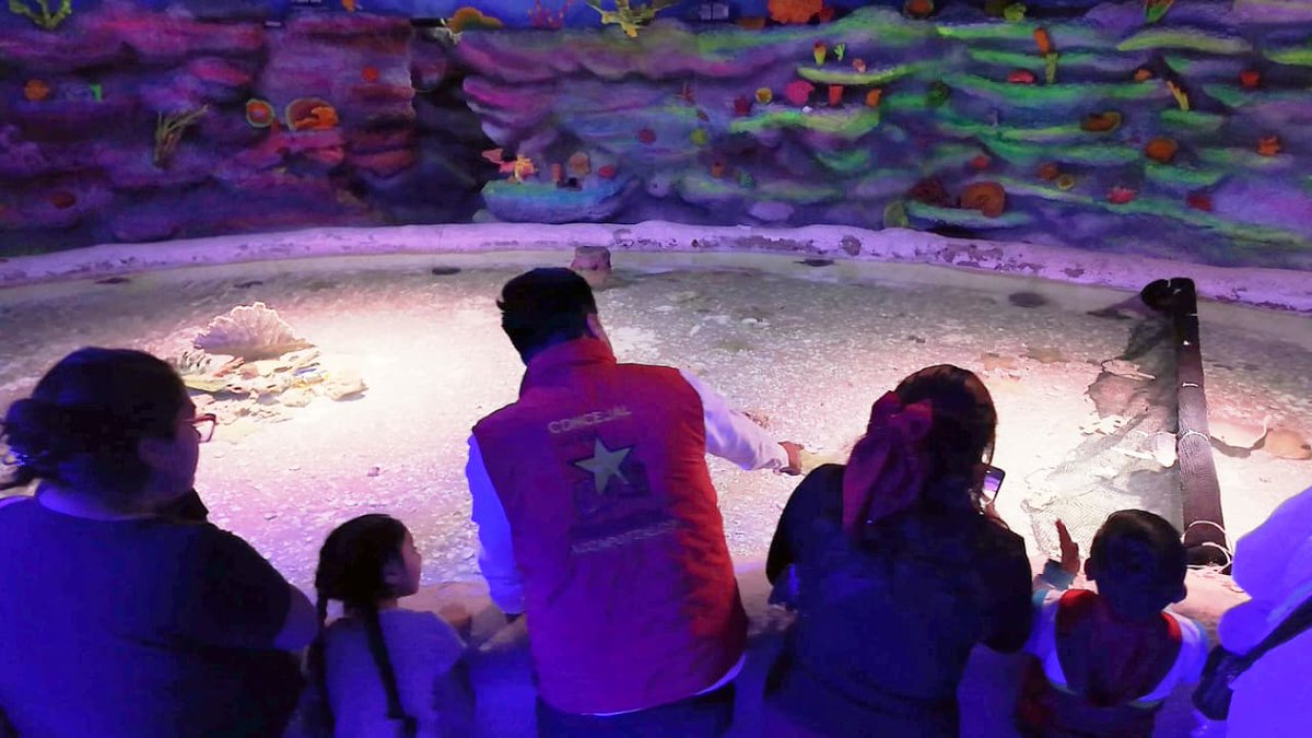 partidodeltra11's tweet photo. Por iniciativa del concejal @JaimeJBlas, familias y jóvenes de #Azcapotzalco disfrutaron de una gran visita al #AcuarioInbursa. Impulsar espacios de convivencia y alegría para las juventudes es una prioridad.

#PartidodelTrabajoCDMX #PTesla4T https://t.co/MBRNJcujDC