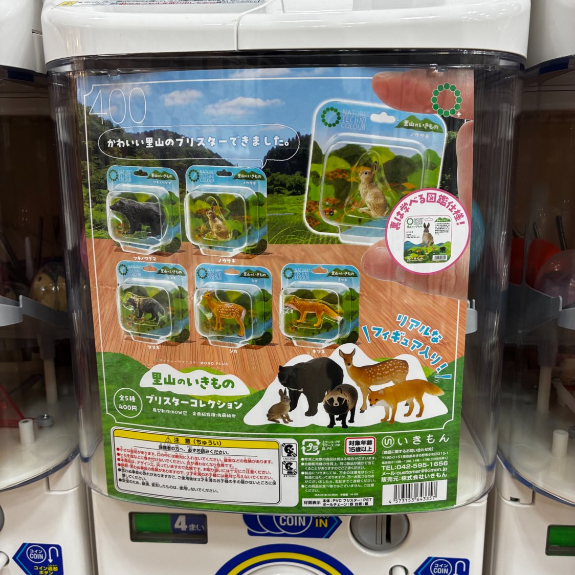 gashacoco イオンモール銚子の入荷情報の写真