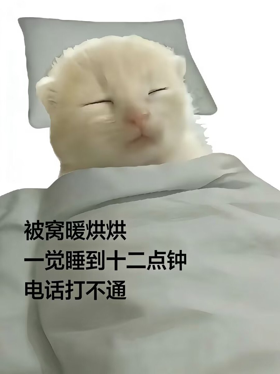 Lalalalaluk's tweet photo. 被窝暖哄哄 
闹钟响了装耳聋 
再眯五分钟 https://t.co/M71VE1lE5a