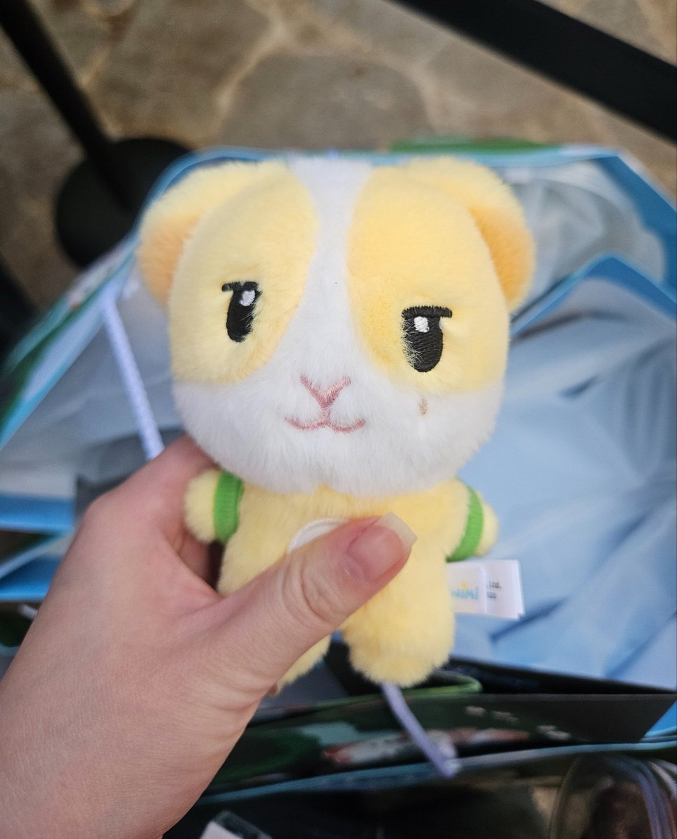 letsgoppangtto's tweet photo. 테무산 인형도 이거보단 정상적으로 생김 https://t.co/KChCQedfTs