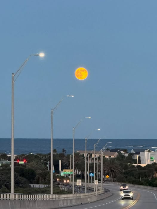 mnagu50's tweet photo. Adding to the full moon pics from last night https://t.co/IepPMRxXvz