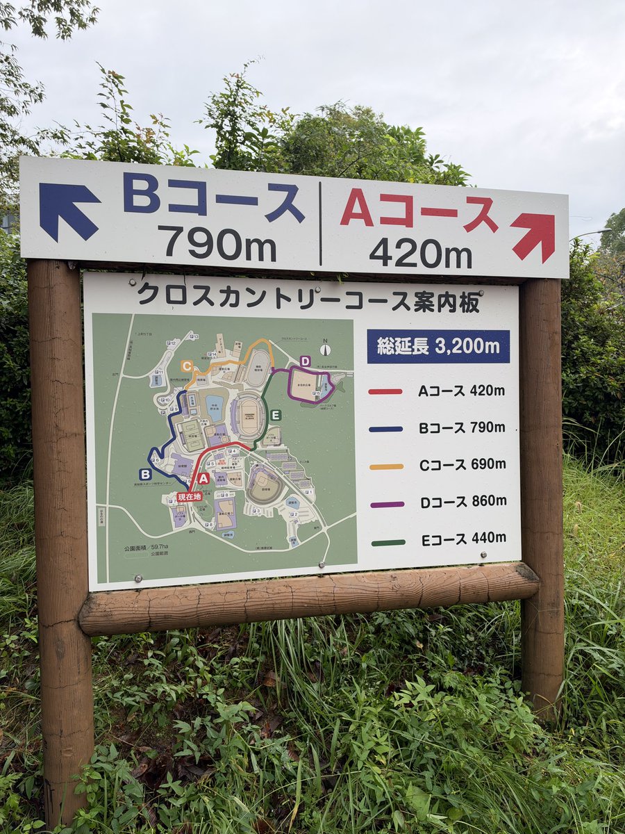 gorihige tweet picture