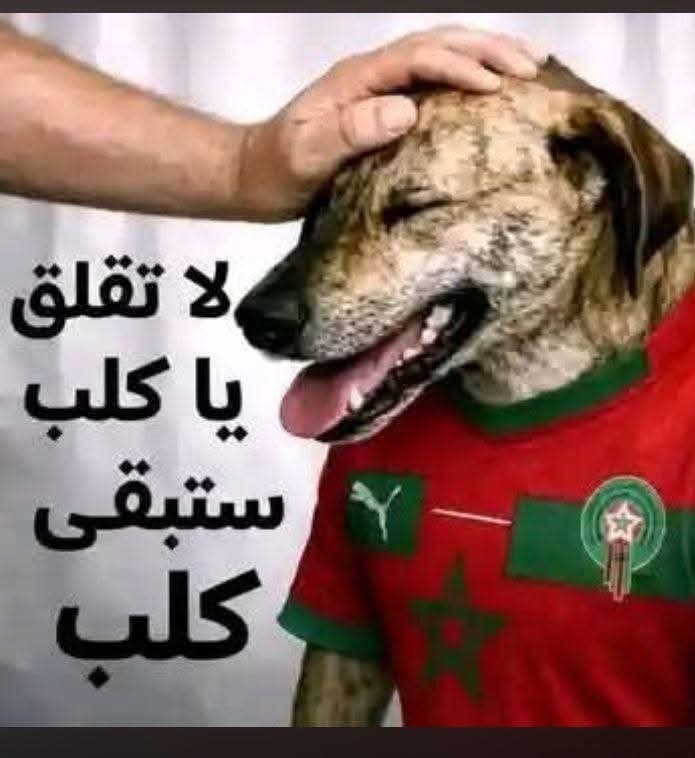 maryuopa6e's tweet photo. @Hamid43838943 د https://t.co/yXqepxnPeF