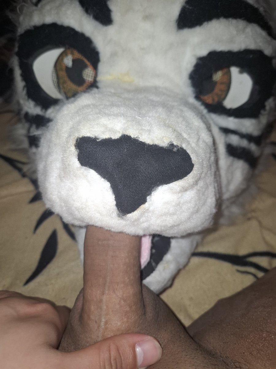 HornyMerWolf's tweet photo. A horny night whit t' Tiger~
#mursuit #furry #fursuiter #furryad https://t.co/Smr01EpUFm