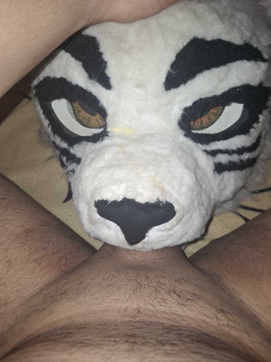 HornyMerWolf's tweet photo. A horny night whit t' Tiger~
#mursuit #furry #fursuiter #furryad https://t.co/Smr01EpUFm