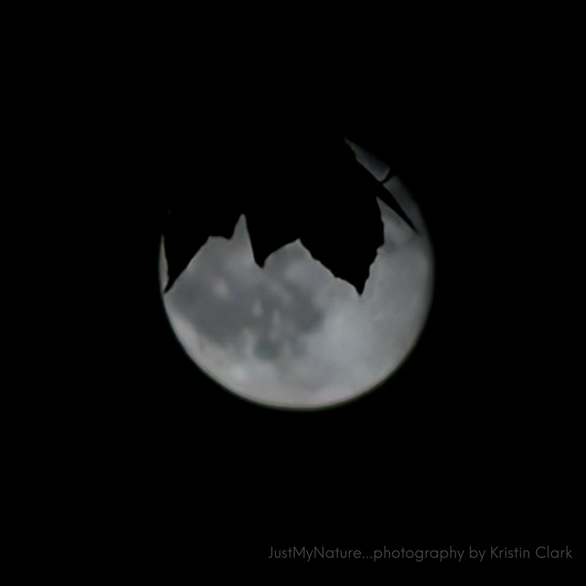 _justmynature's tweet photo. Harvey moon from Hampton Cove AL 🌝 @spann @DanielleDozier @BenSmith_WHNT @CamutoWHNT @JDESNOYERSWAFF @WEATHERmanBURKE
@JDressmanWX @EmilyOwenWX @jeffcastlewx @AmberKulick_wx @laabsTWC @NWSHuntsville @simpsonwvtm13 #valleywx https://t.co/Ol7eLfkx5E