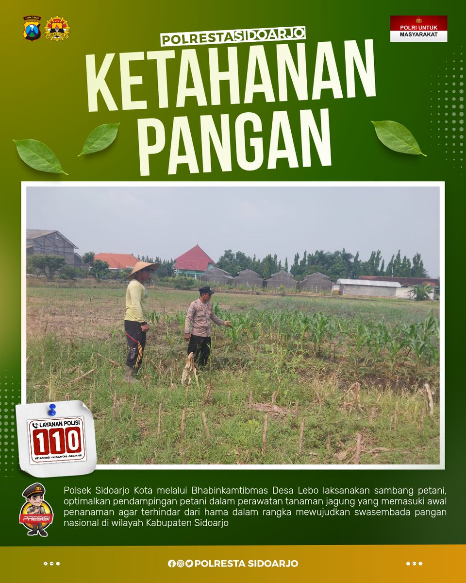 Deltasitik's tweet photo. Dalam rangka mendukung ketahanan pangan Nasional, Polresta Sidoarjo melalui personil Bhabinkamtibmas Polsek Sidoarjo sambang petani dalam perawatan jagung Desa Lebo, Kabupaten Sidoarjo #ketahananpangan #polriuntukmasyarakat #swasembadajagung #polisicintapetani #polripresisi https://t.co/fjwY4fTD4k