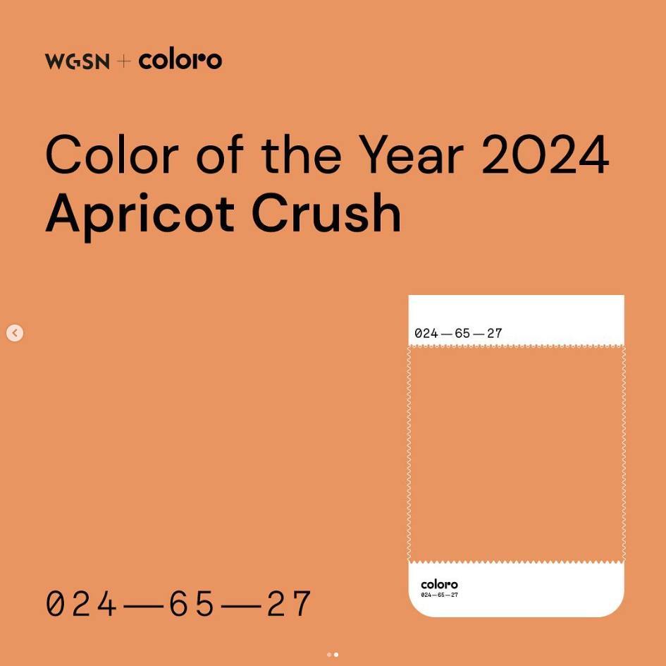 ferluka99's tweet photo. أُعلن عن لون بانتون لعام 2024: زغب الخوخ. كما توقعت Coloro/WGSN لون المشمش المتوهج. أرى أن كليهما خياران رائعان هذا العام. من أرشيفي، هذه إحدى لقطاتي المفضلة لتنسيق الألوان من فيراغامو ربيع/صيف 2020. ما لونك البرتقالي المفضل لعام 2024؟ https://t.co/2hczXunx3R