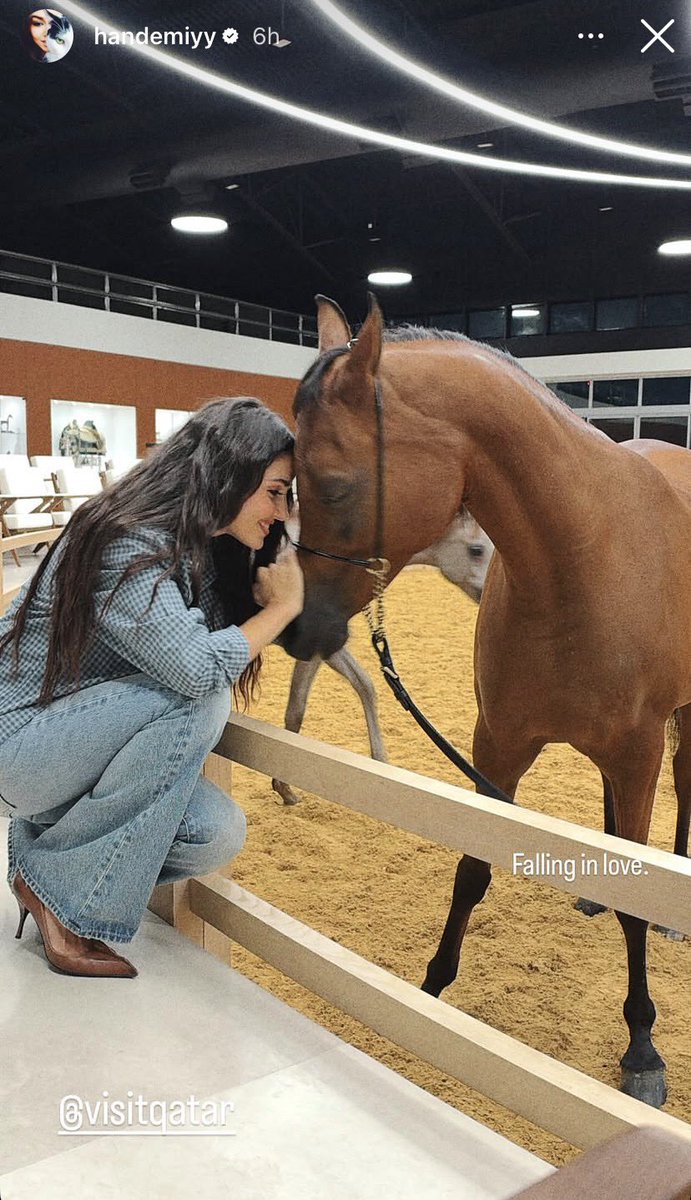 savcimiyy's tweet photo. bebekim🫠

#HandeErçel https://t.co/LnYGchRmUp