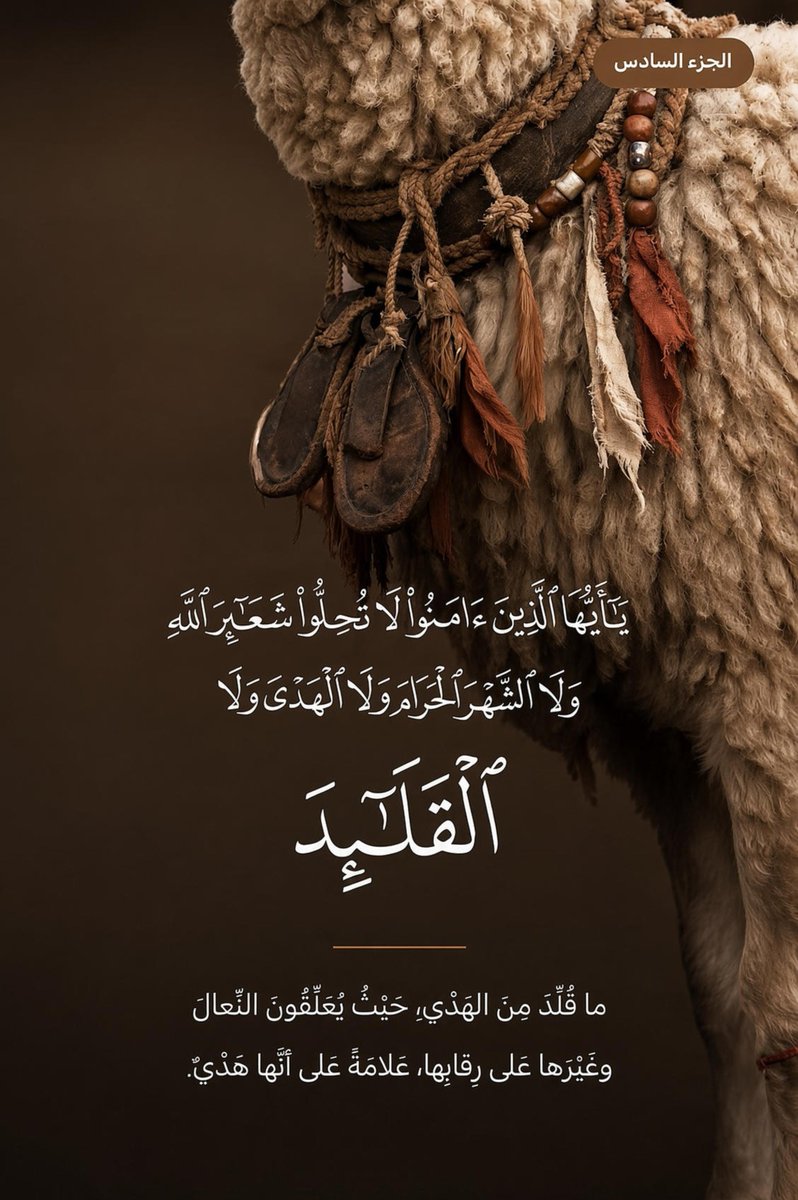 omfahad_1416's tweet photo. هل تعلم بعض معاني الكلمات في القرآن الكريم :
صوافّ، الْقَلَائِدَ ، فَلَيُبَتِّكُنَّ، عِجافٌ

انظر للمعنى في الصور 🌿

#تعليق_الدراسه #اعجاز #تفسير_القران https://t.co/TTdFdxx4Vx