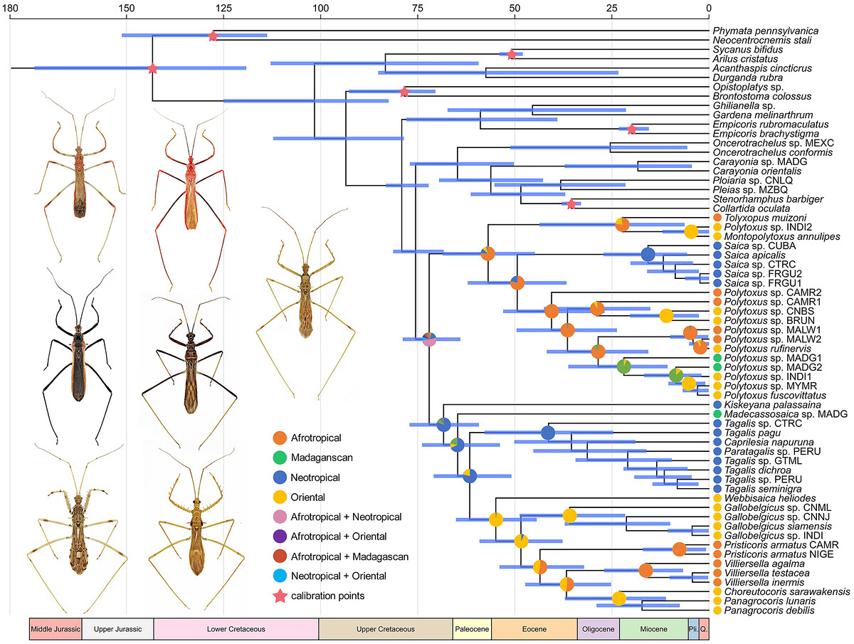 Insect_Science tweet picture