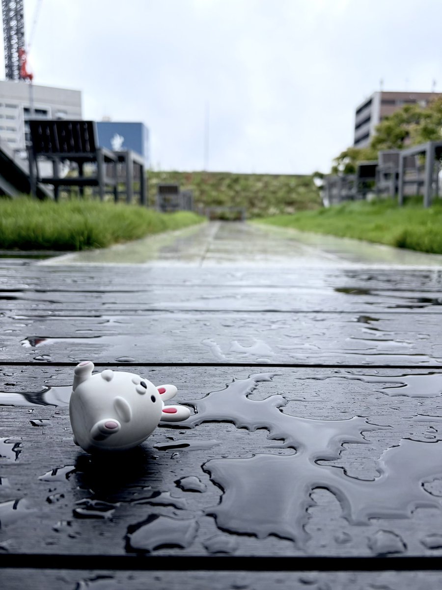 hmc_mobipyon's tweet photo. モビぴょん日記
雨続きだぴょん…☔️

9月28日（月）天気：雨 気温：26℃ 
#モビぴょん
#HONDA 
#企業公式が毎朝地元の天気を言い合う 

#ゆるバース 参戦中
▼投票はこちら
https://t.co/vJJe0QhHM1 https://t.co/wuAvJe510q