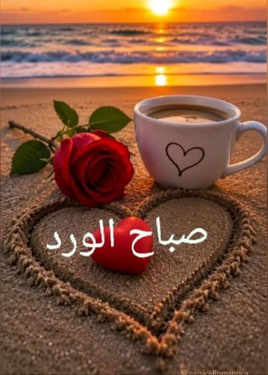 ImadBahja1's tweet photo. @AE16110805 https://t.co/SWt8BrRyrQ