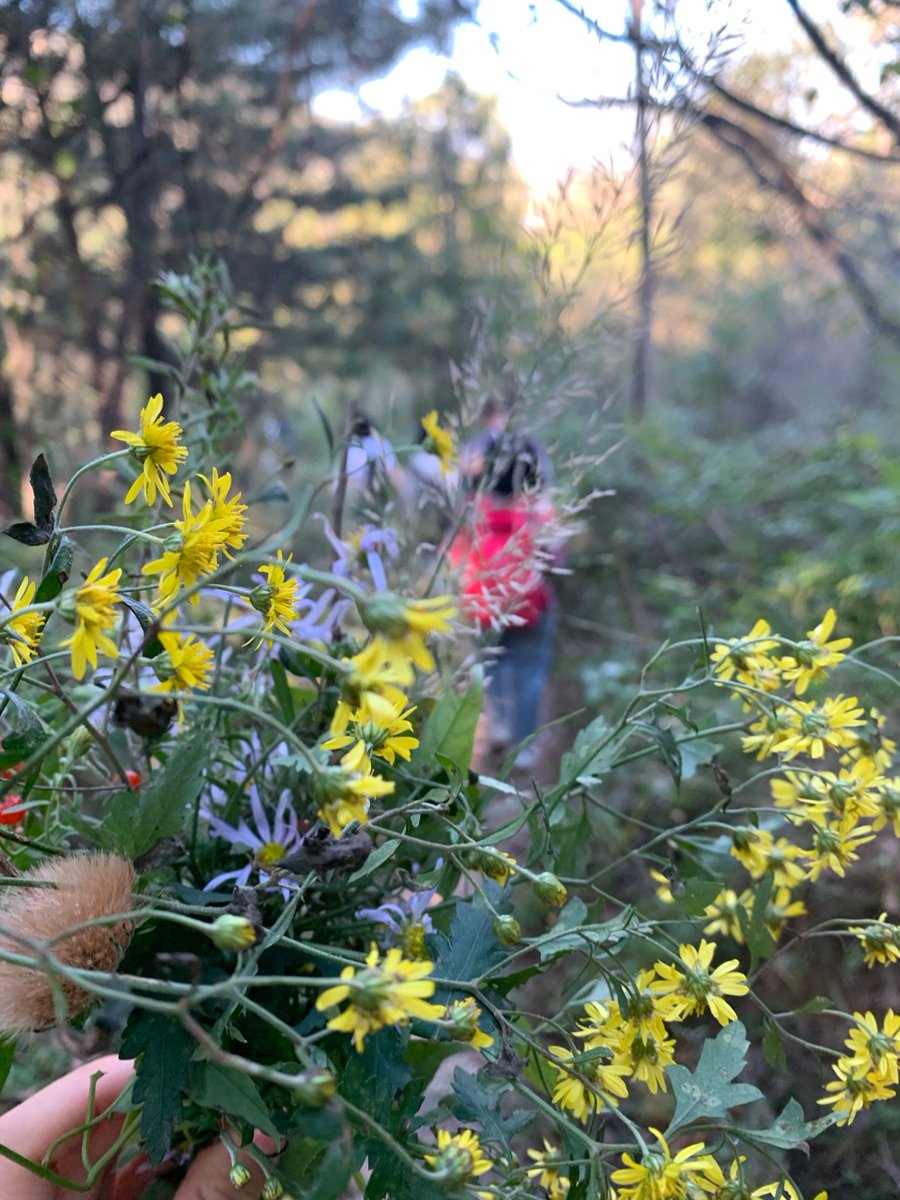 MarioFreveybnw's tweet photo. Momento mágico con mi pequea exploradora! Descubriendo flores coloridas en el parque, compartiendo risas y aprendizaje juntos https://t.co/XcaR5pD7mC