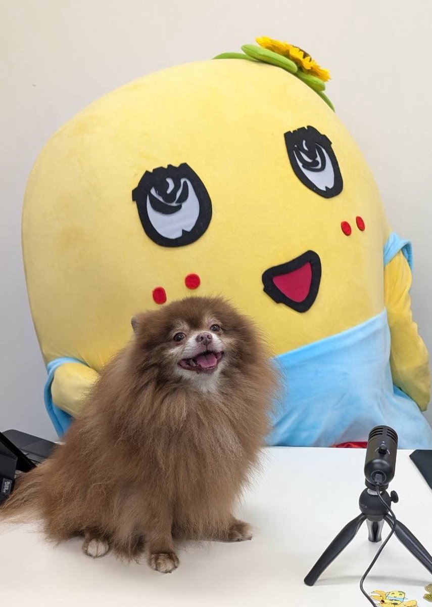 funassyi's tweet photo. こんたぬぴー♪ヾ(。゜▽゜)ノ元気出してこーなっしー♪ https://t.co/K0bPSFULiX
