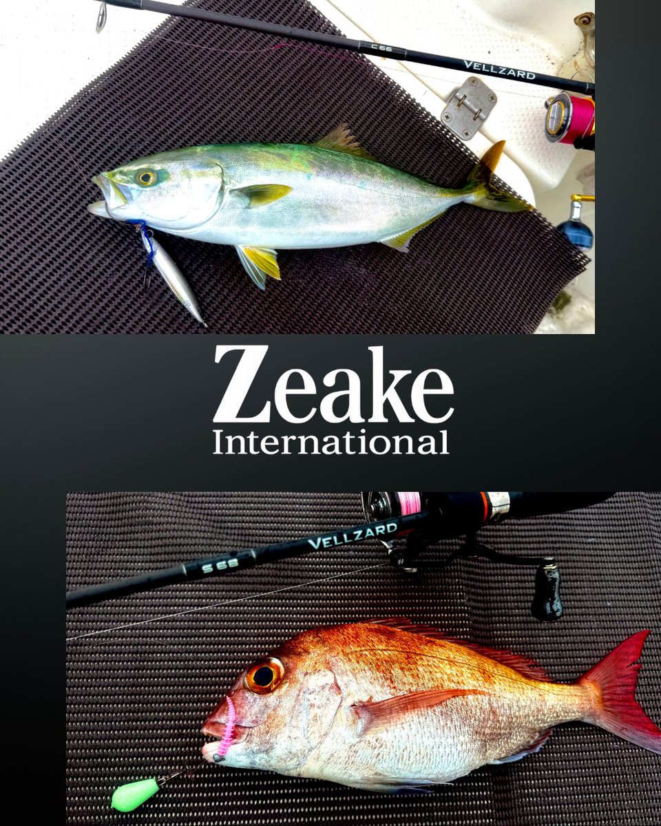 Zeake2017 tweet picture