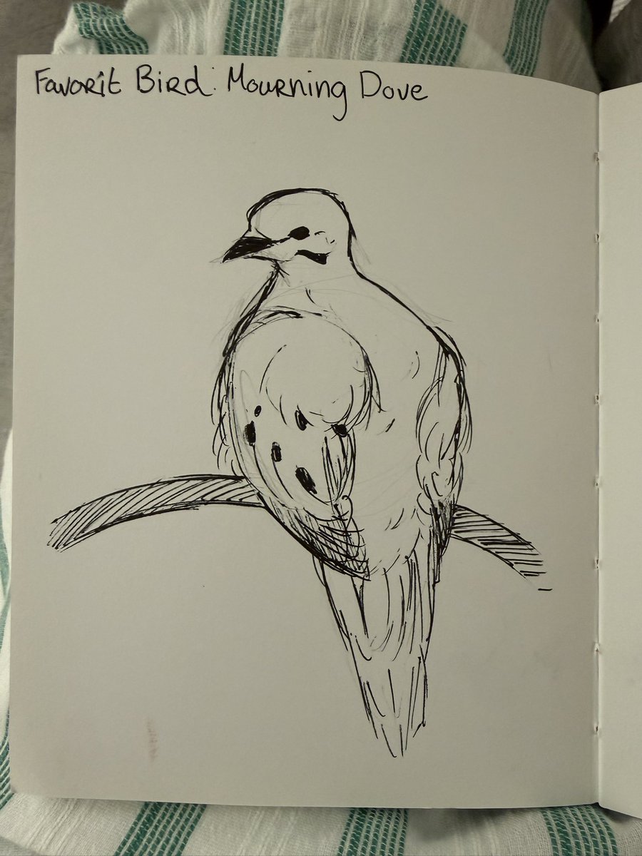 Kakes_Cake_Shop's tweet photo. A little sketch prompt from class ^^ https://t.co/6tenKNmiP9