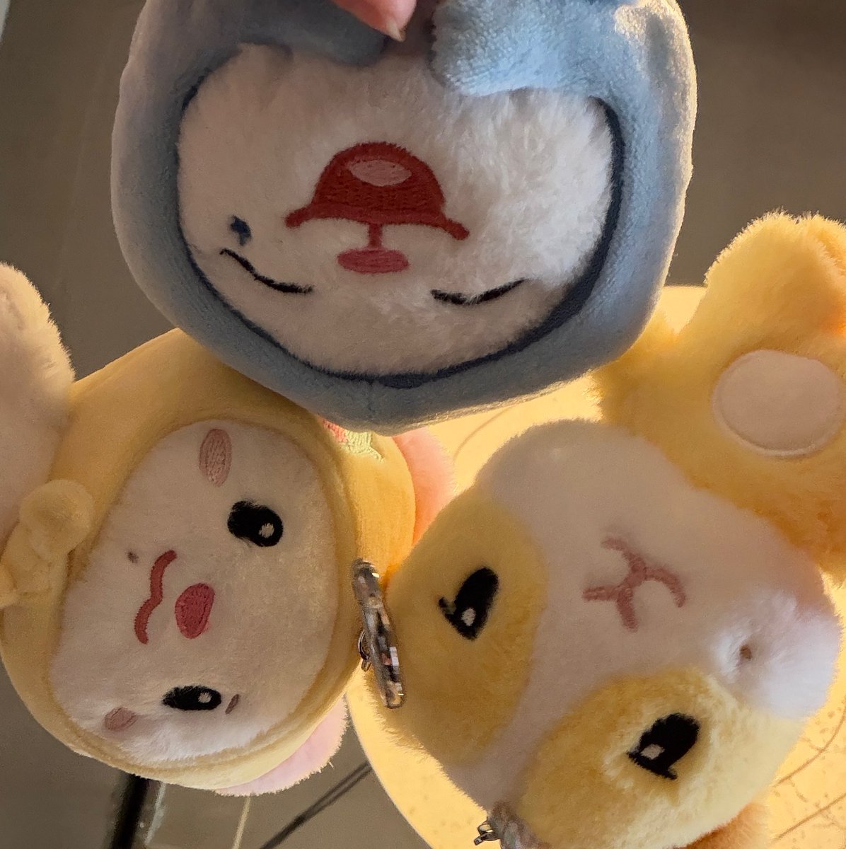 yeomdulee's tweet photo. 정신이 드세요? https://t.co/aETEC5S8S4