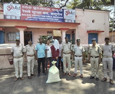 rpf_ecor_kur's tweet photo. Operation Narcos :- On 27.09.2026, a joint drive offier &amp; staff of  RPF and Excise team apprehended 01 Ganja peddlers at Balugaon Railway Station and seized 20.500 kg  Ganja ( ₹10.25 lakh) &amp; handed over to  Excise/Balugaon, where registered case under Section  of  NDPS Act. https://t.co/u1nO599zrC