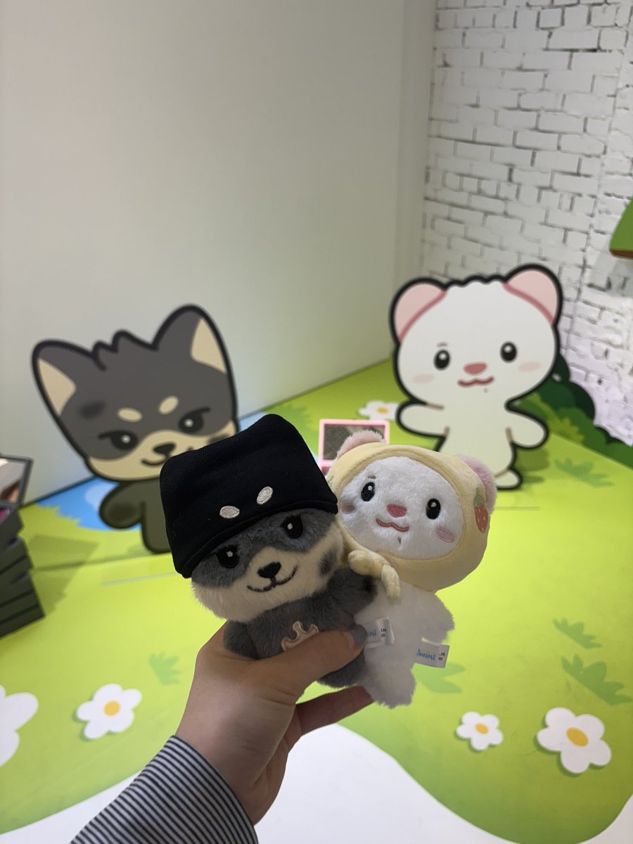 for_ddo's tweet photo. 유도즈 ㄱㅇㅇ 💗 https://t.co/ArsGnON49d