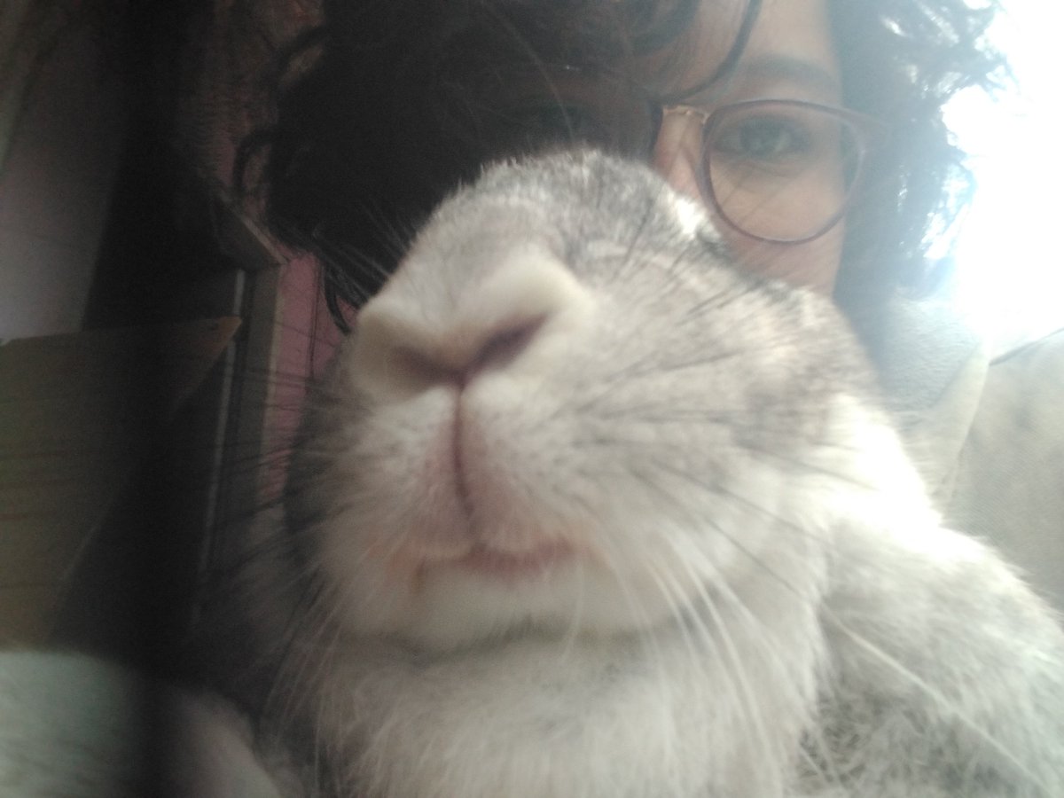 P1nkTanuki's tweet photo. Thank you<33
Tehehe anon poked me where it matters: bunnies
Well you mean references for the art I make? I make them all from 0, no references, just make up a position in my head and sketch it uo untill it looks right
And yeah I have 4 fat stupid pieces of shit <33 https://t.co/W2S7uZpb0g
