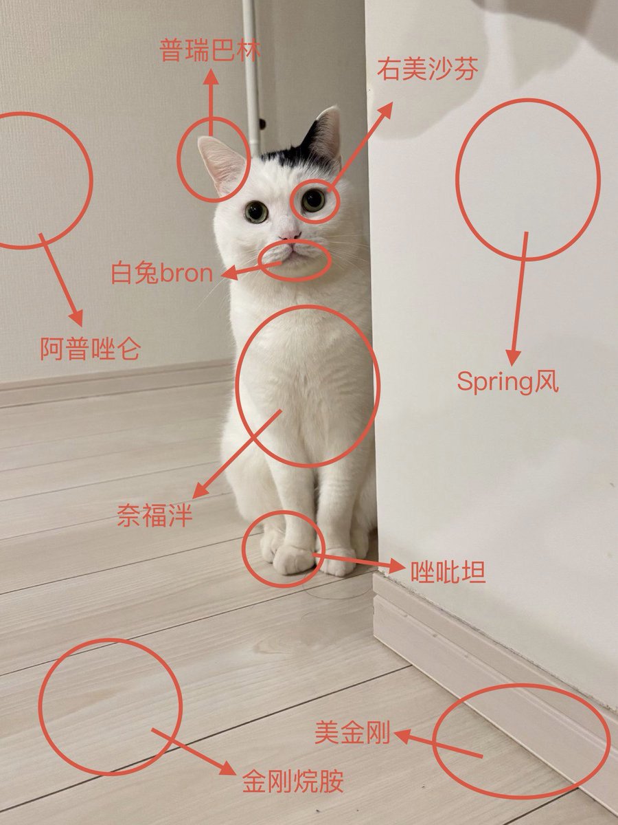 winterfruit_1's tweet photo. https://t.co/9OtTvJle4i