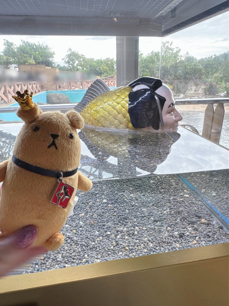 tsuki_mi13's tweet photo. 🌅🥞🪼 https://t.co/zc4JS12aXZ