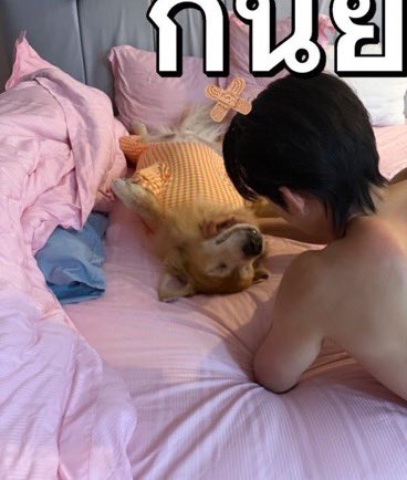 Ppapearl's tweet photo. ((กุเข้าใจแล้วว่าทำไมหมาเด็กมันถึงตามหวงเวลาชีถอดเสื้อ อหมองข้างหลังยังสวย😭)) https://t.co/gm1q9E0ygP
