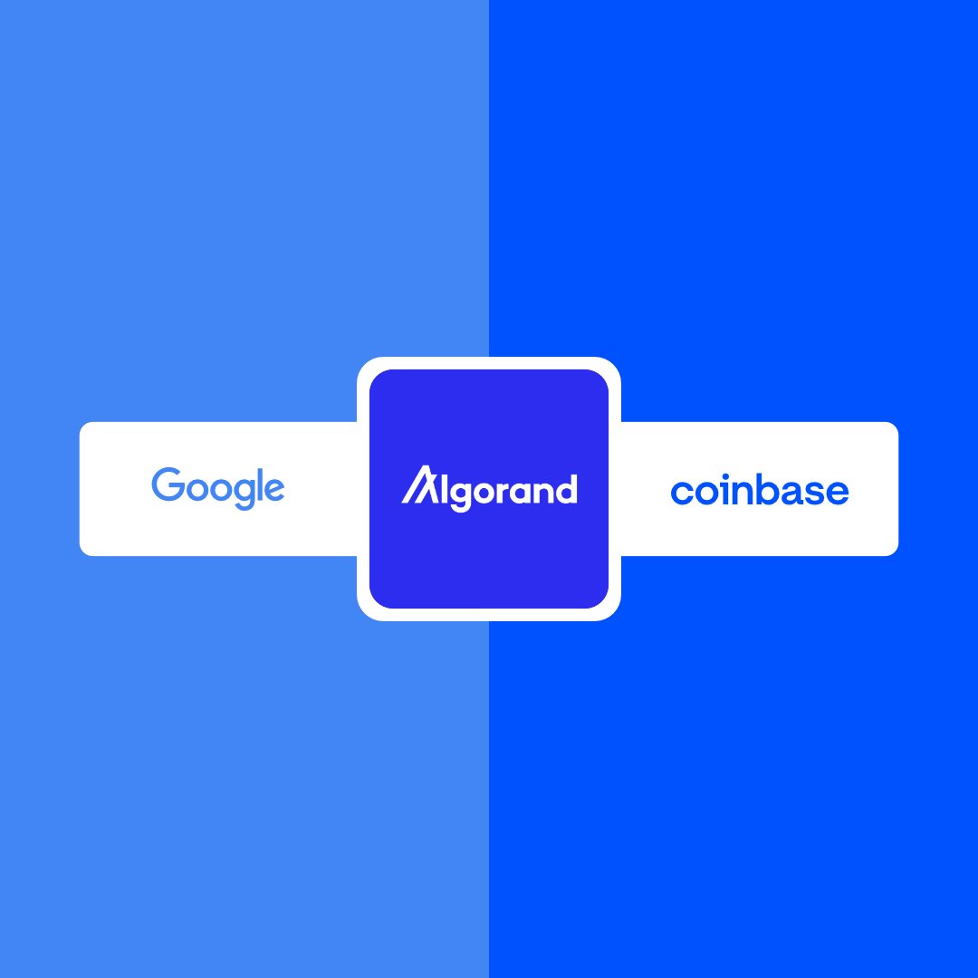 thesevendary's tweet photo. Friendly reminder: Google and Coinbase are both naming Algorand as the leader in post-quantum cryptography. https://t.co/x0aDvlqzH5
