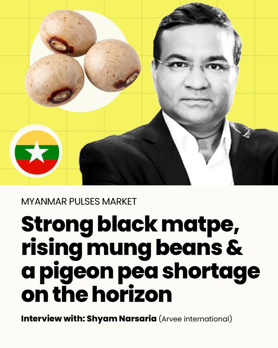GlobalPulsesGPC's tweet photo. We sat down to chat with Shyam Narsaria of Arvee international to discuss Myanmar’s pulse expectations this year.

https://t.co/NMAD4JbHxv

#GPC #Pulses #Beans #Peas https://t.co/qCxXuvXmi2
