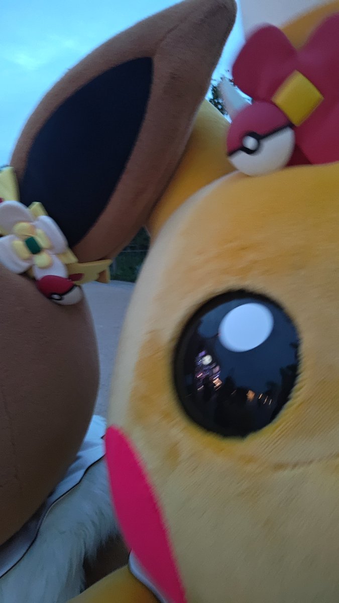 F15mobius's tweet photo. なんか昨日はめっちゃポケモン達にとっしんされまくったきがする… https://t.co/bCUU0nGKSR