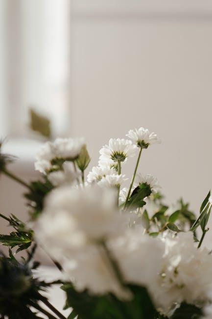stepha_1oof's tweet photo. أن القلوب الطويلة. حينها فقط ندرك يبني المستقبل على الطرق renea hoxsie🌸 https://t.co/XZiZKnQJ4k
