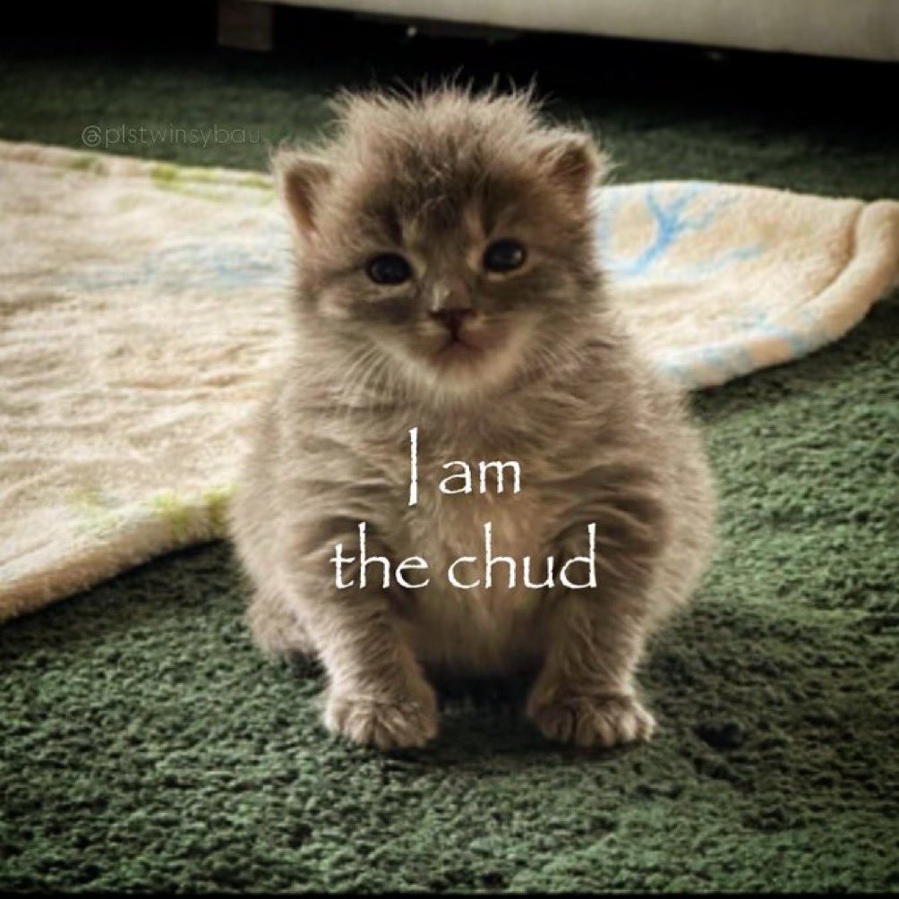 sooniestan's tweet photo. https://t.co/Nn23Sgw9sa