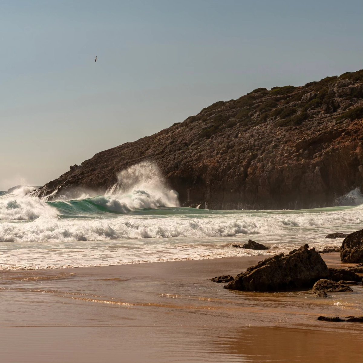 SemanurCetntas's tweet photo. Roadtrip part 2
Through Portugal with @marchessel_....... #tr1p0t #instatravel #travel #discoverearth #wekeepmoments #fantasticearth #wanderlust #beautifulearth #adventure #traveling #landscape #summer #holidays #explore #roadtrip #europe https://t.co/HPPznEm3LO