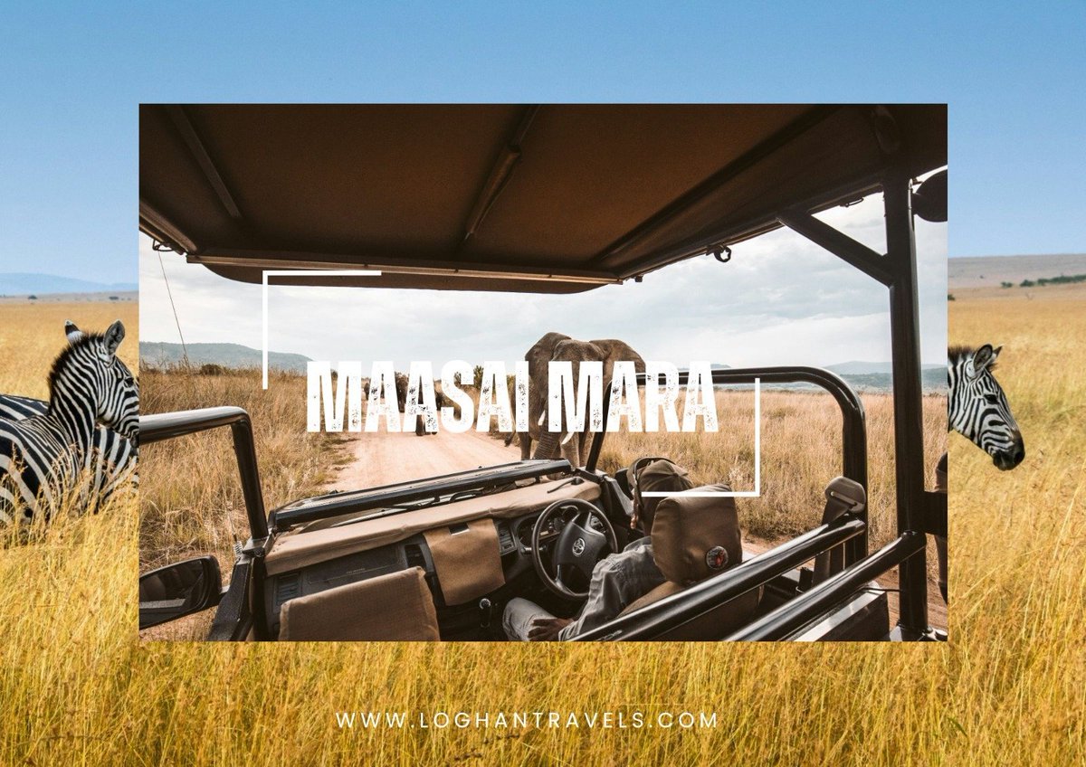 LoghanTravels's tweet photo. From breathtaking wildlife encounters and unforgettable game drives, to authentic Maasai culture and luxurious stays in the heart of the Mara, every moment tells a story.

Soar above the savannah in a hot-air balloon, enjoy a memorable bush dining experience under the African sky https://t.co/aEPshuOfeZ