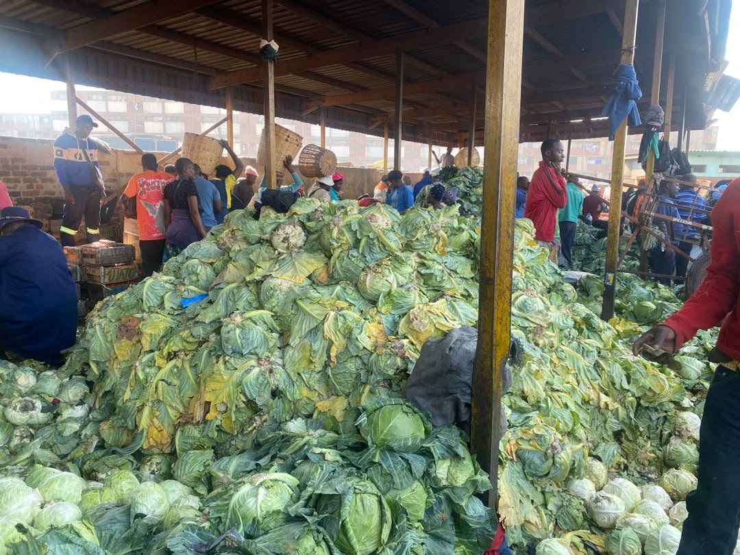 obertjiri's tweet photo. Farmers are producing, but large volumes of fresh produce are being lost. At a time when Zimbabwe is preparing for the effects of a potentially severe El Niño, we cannot afford to produce food only to see it go to waste. We must strengthen market linkages, improve storage and handling, support value addition and reduce post-harvest losses across the food system.
#FoodSecurityEverywhereEveryday