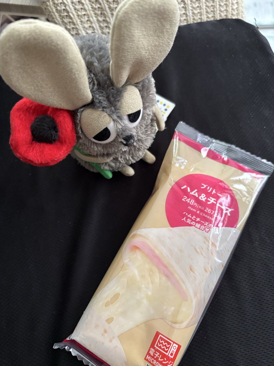 koumisu's tweet photo. 久々にセブンイレブンのブリトー食べた
#ブリトー　#ぬい撮り https://t.co/YAzDkH9YhQ