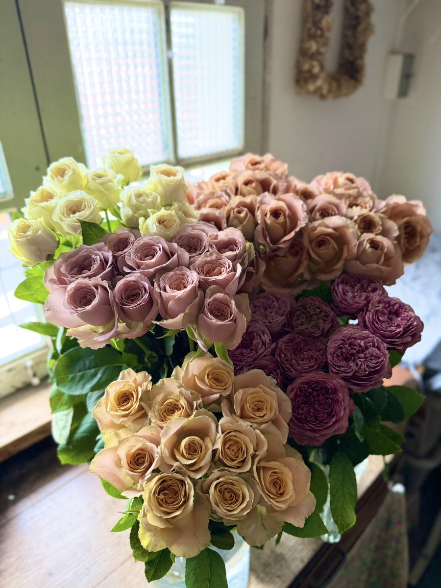icca_nishiogi's tweet photo. 今日も素敵なバラ
たくさんあります〜♪ https://t.co/DvxtGZzo6P