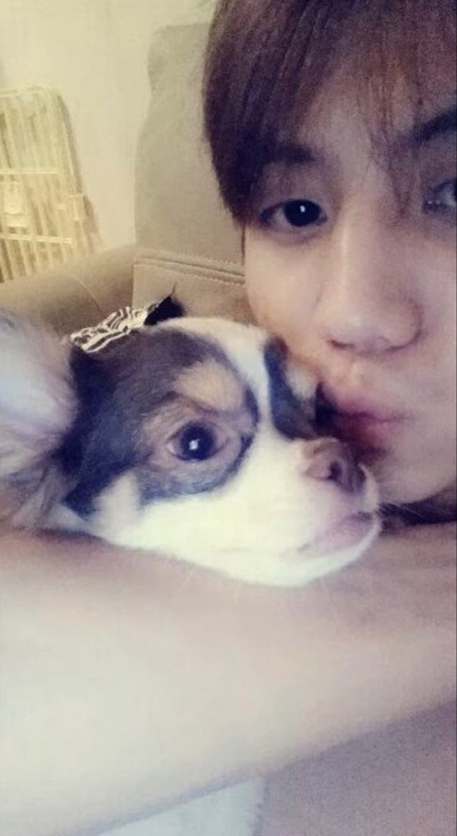 pomSangg's tweet photo. 하아… 개랑 같이 잇는 남자는 언제나 옳다 https://t.co/hbVlUprEeq