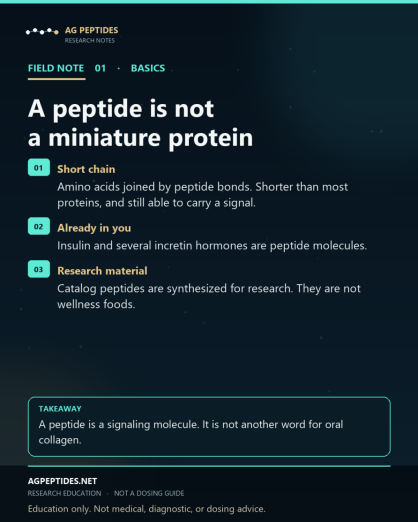 brunam1910's tweet photo. A peptide is a short chain of amino acids. It is shorter than most proteins, but it can still carry a signal. Insulin is one. A research peptide is not oral collagen, and this is not a use guide. #Peptides #PeptideEducation
https://t.co/Nm5irGYhX9 https://t.co/ERWOkr42MY